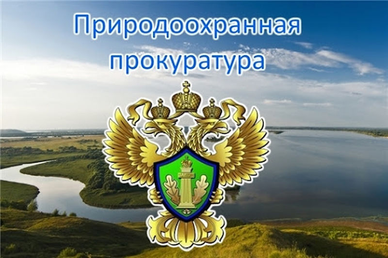 Ульяновская природоохранная прокуратура разъясняет.